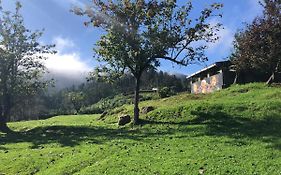 Red Rabbit Guesthouse Kukkal India